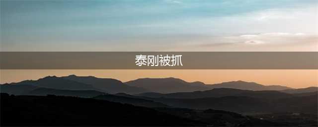 中国华腾工业原副总裁袁泰刚被公诉！(泰刚被抓)