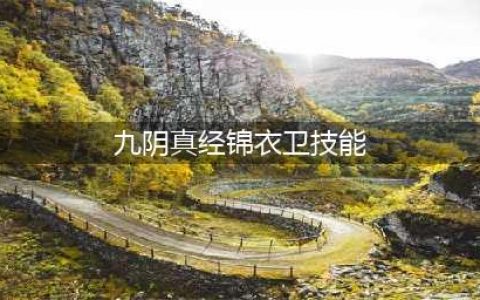 《九阴真经》锦衣卫镇派武技介绍