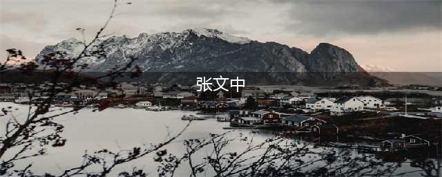 张文中案，“天下无冤”的新起点(张文中)