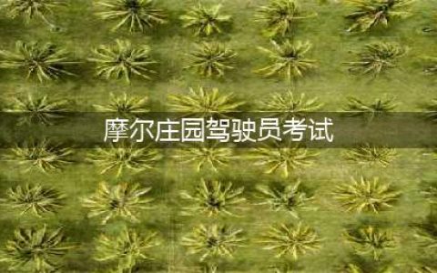 《摩尔庄园手游》考驾照答案汇总 考驾照答案大全
