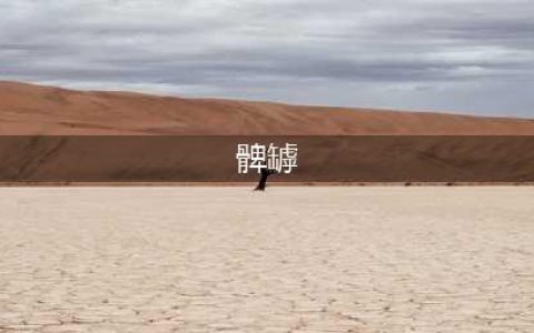 髀罅：双腿间迷人的缝隙(髀罅)