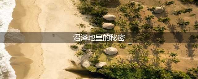 《欺诈之地》沼泽深处的秘密攻略 沼泽深处的秘密有什么效果(沼泽地里的秘密)