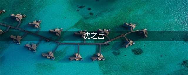 沈之岳: 国共双料间谍谜中谜, 至死都未被发现了两大卧底之一(沈之岳)