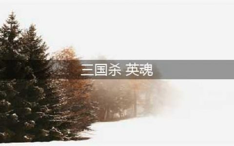 《三国杀》孙策英姿和英魂有什么区别 孙策技能效果详解(三国杀 英魂)