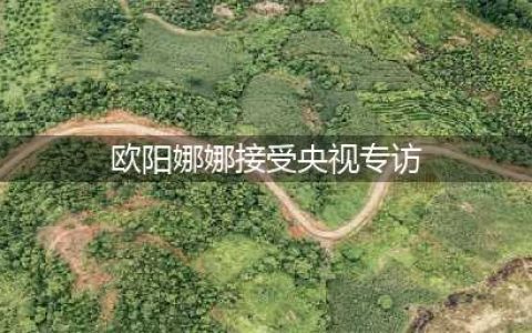 欧阳娜娜接受央视采访，就政治立场再发声：我是中国人！(欧阳娜娜接受央视专访)