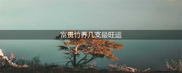 富贵竹养几根才最好？单数还是双数，养几支最旺运、旺财风水好？(富贵竹养几支最旺运)