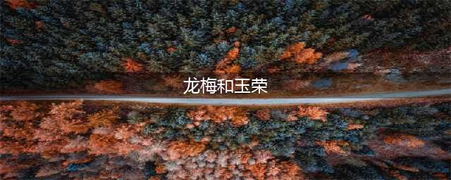 草原英雄小姐妹——龙梅和玉荣的故事(龙梅和玉荣)