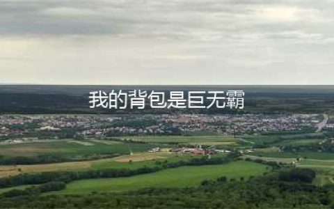 怀旧服巨无霸背包哪里购买(我的背包是巨无霸)