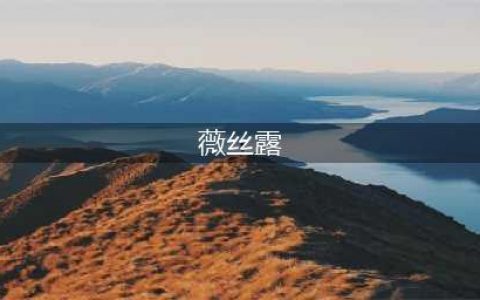 《拳皇》薇丝人物介绍 薇丝背景故事详解(薇丝露)