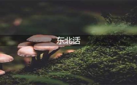 东北人最最最常用的50个单词，你都说过吗？(东北话)