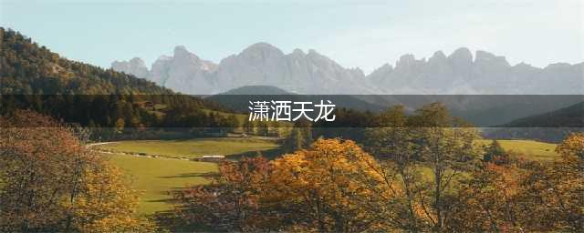 潇洒天龙超变官网在哪下载 最新官方下载安装地址