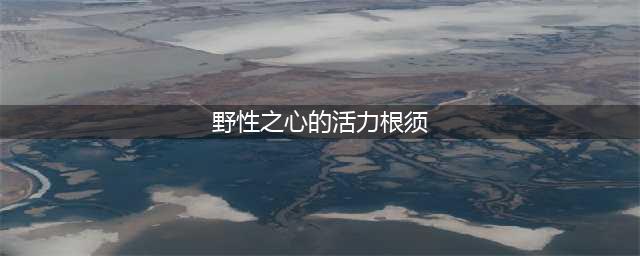 魔兽怀旧服野性之心的活力根须怎么获得(野性之心的活力根须)