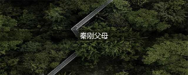 生育的细节｜一对博士夫妇的5年“生育等待期”(秦刚父母)