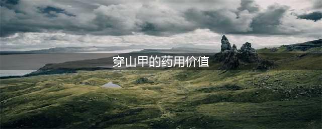 最后一只穿山甲濒临灭绝！它的鳞片究竟有怎样的魔力？(穿山甲的药用价值)