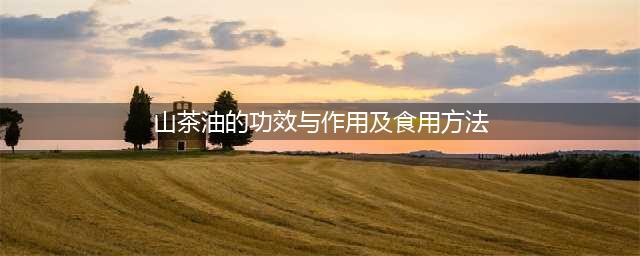 山茶油的功效与食用方法(山茶油的功效与作用及食用方法)