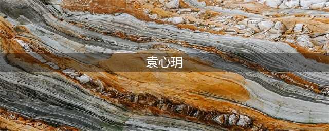 袁心玥刚打几场比赛 就成为女排联赛副攻王 是她太强 还是别人太弱(袁心玥)