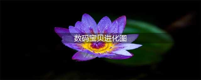 数码兽进化大全 数码宝贝进化路线图(数码宝贝进化图)