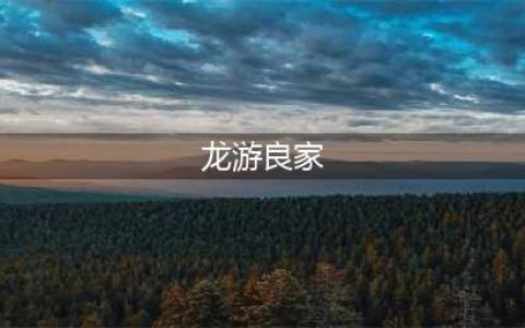 商洛一男子因邻里纠纷致7死2伤：在多个院落、屋子内击杀村民(龙游良家)
