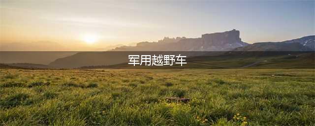 25大国产军用越野车一览，猛士的型号很多(军用越野车)