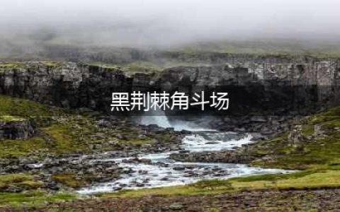 《黑荆棘角斗场》全风格流派怎么选择 全风格流派选择推荐(黑荆棘角斗场)