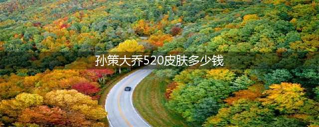 王者荣耀孙策520皮肤多少钱 孙策520皮肤价格分享(孙策大乔520皮肤多少钱)