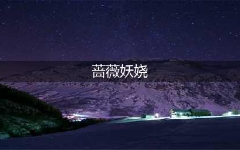 初夏的蔷薇都开满了墙，为什么你的蔷薇迟迟不开花？(蔷薇妖娆)