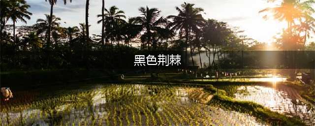 《LOL》黑色荆棘莫甘娜炫彩皮肤怎么样 黑色荆棘莫甘娜炫彩皮肤一览(黑色荆棘)