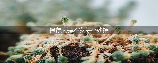 用这种方法储存大蒜，大蒜不长芽不腐烂，放半年都不坏(保存大蒜不发芽小妙招)