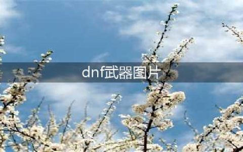 《DNF》26种武器装扮外观介绍 26种武器装扮外观怎么样(dnf武器图片)