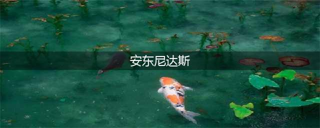炉石大魔导师安东尼达斯效果一览(安东尼达斯)