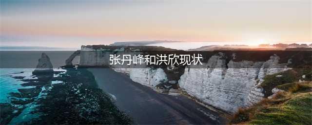 娶了洪欣后张丹峰少奋斗10年，看完才知他如今现状(张丹峰和洪欣现状)