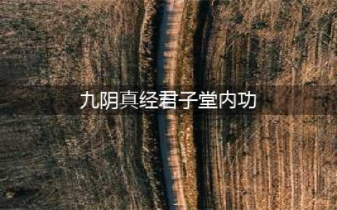 《九阴真经》君子堂镇派武技介绍(九阴真经君子堂内功)