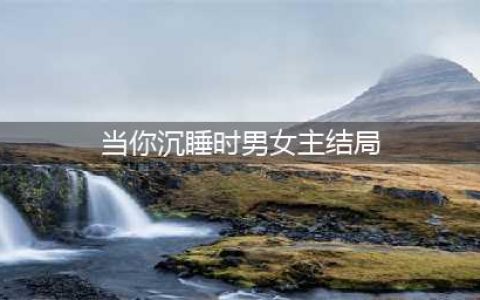 韩剧当你沉睡时剧情介绍，结局是什么？(当你沉睡时男女主结局)
