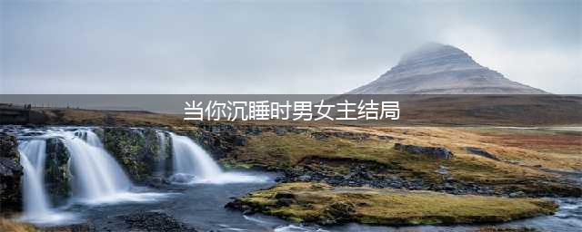 韩剧当你沉睡时剧情介绍，结局是什么？(当你沉睡时男女主结局)