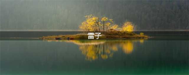 谁在管女性的胸部叫“大雷”(雷子)