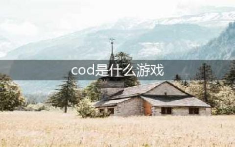 《使命召唤》steam版叫什么名字 steam版名称搜索一览(cod是什么游戏)