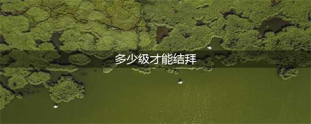 完美世界手结拜的条件是什么 结拜条件要求一览