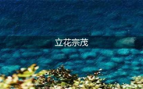 《仁王》立花宗茂怎么打 立花宗茂打法攻略(立花宗茂)
