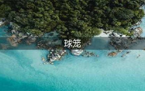 汽车上的球笼是干什么的？如果它损坏了汽车有哪些故障现象？(球笼)