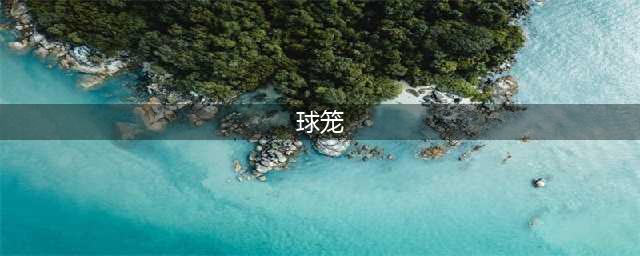 汽车上的球笼是干什么的？如果它损坏了汽车有哪些故障现象？(球笼)