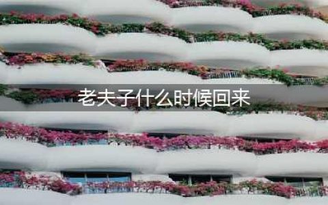 《王者荣耀》王者知道老夫子什么时候回来脑力风暴答案
