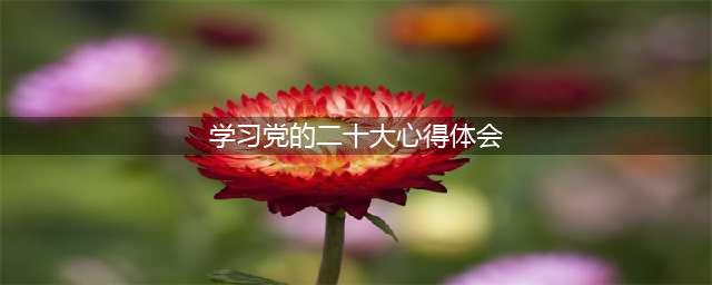 学习党的二十大报告心得体会(学习党的二十大心得体会)