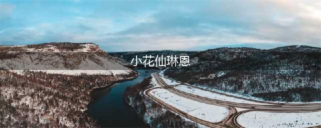 《小花仙》琳恩怎么样 琳恩属性图鉴(小花仙琳恩)
