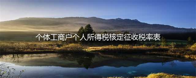 个体工商户个人所得税税率表以及个人独资企业的核定征收详解(个体工商户个人所得税核定征收税率表)