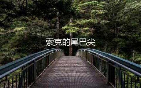 《魔兽世界》索克的尾巴尖属性怎么样 索克的尾巴尖属性介绍(索克的尾巴尖)