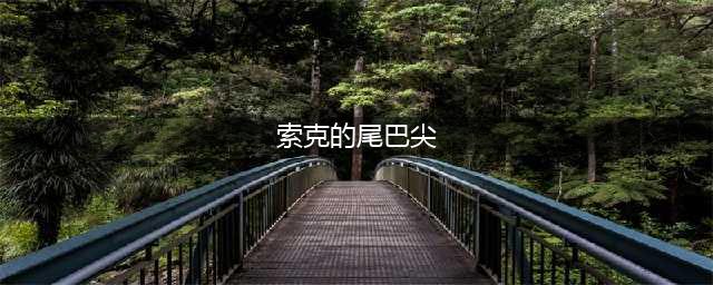 《魔兽世界》索克的尾巴尖属性怎么样 索克的尾巴尖属性介绍(索克的尾巴尖)