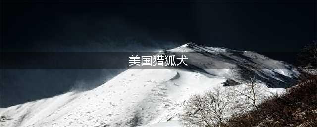 《荒野大镖客2》美国猎狐犬怎么样 图鉴详细一览(美国猎狐犬)