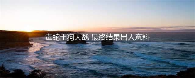 实拍家里的土狗大战毒蛇，狗狗好勇敢，三两下就把毒蛇咬死(毒蛇土狗大战 最终结果出人意料)