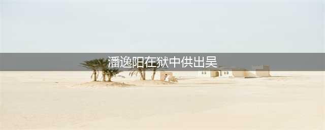 肖毅落马：一个副省级官员的梦与戏(潘逸阳在狱中供出吴)