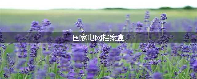 国家电网档案盒(国家电网档案盒)
